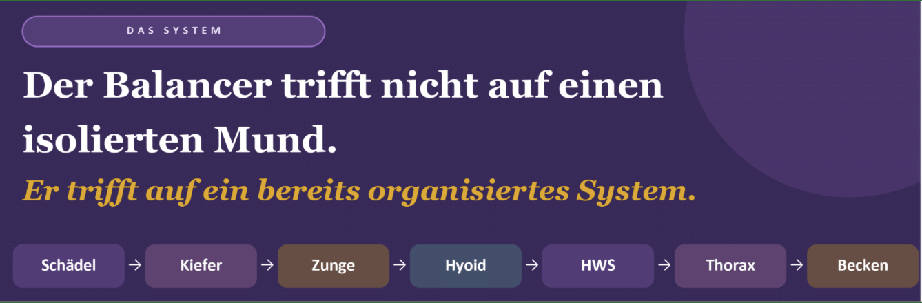 Arlen König – Vortrag Dentosophie System