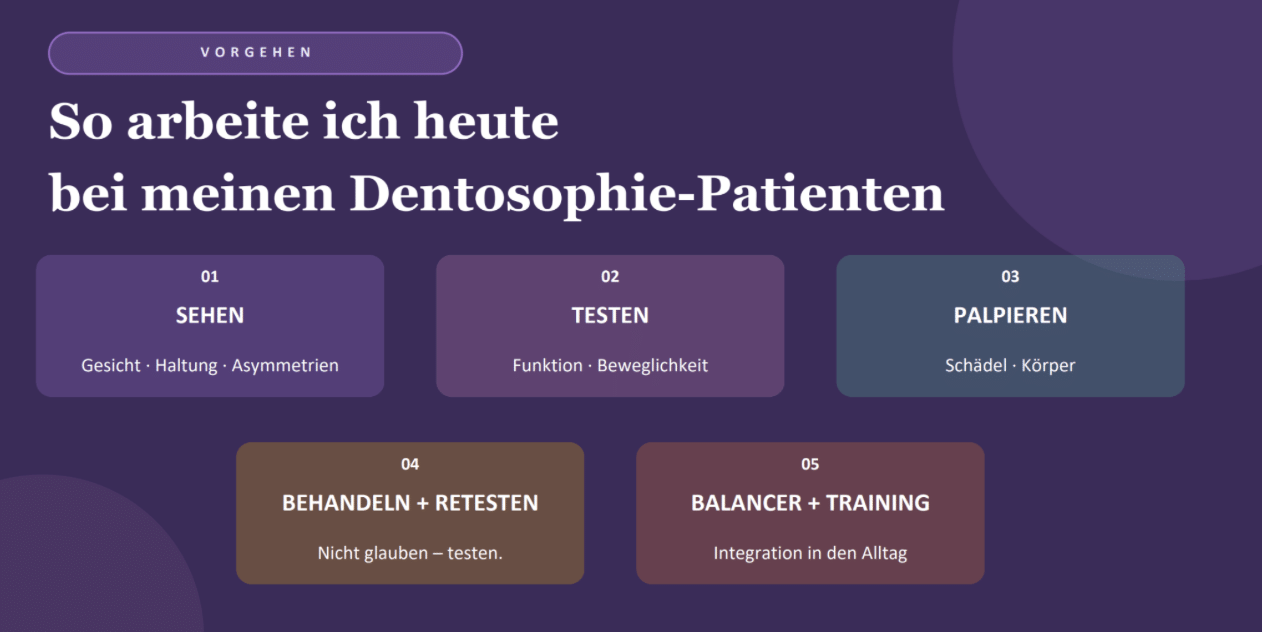 Sphenoid und Occiput – craniale Strukturen